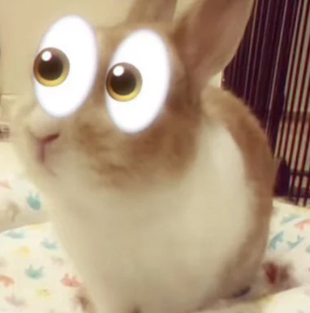 Bunni tweet media