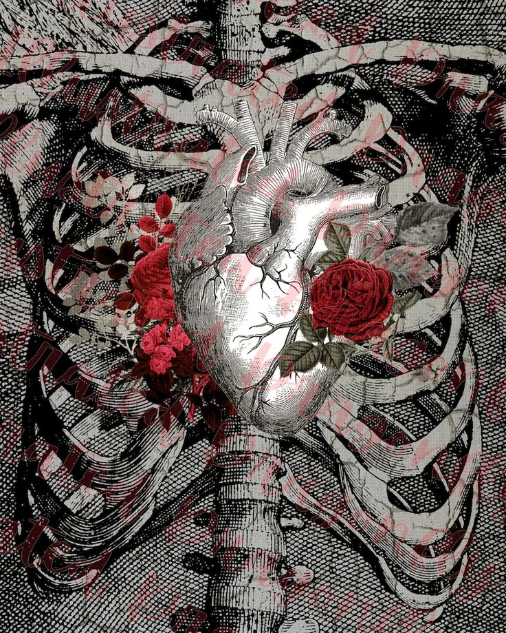 BunnieKat1962's tweet image. #Skeleton 
#Heart
#Flowers