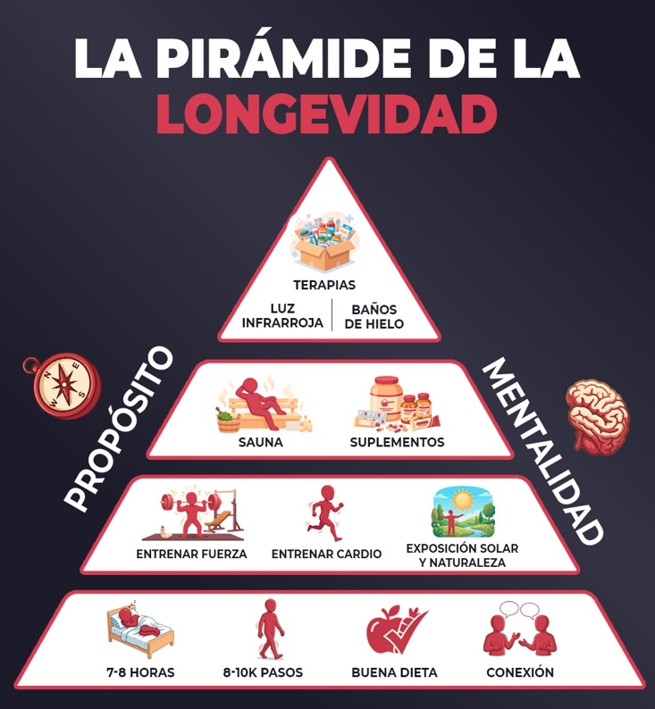 elcodigomental's tweet photo. La pirámide de la longevidad👴 https://t.co/SqGfGz12c3