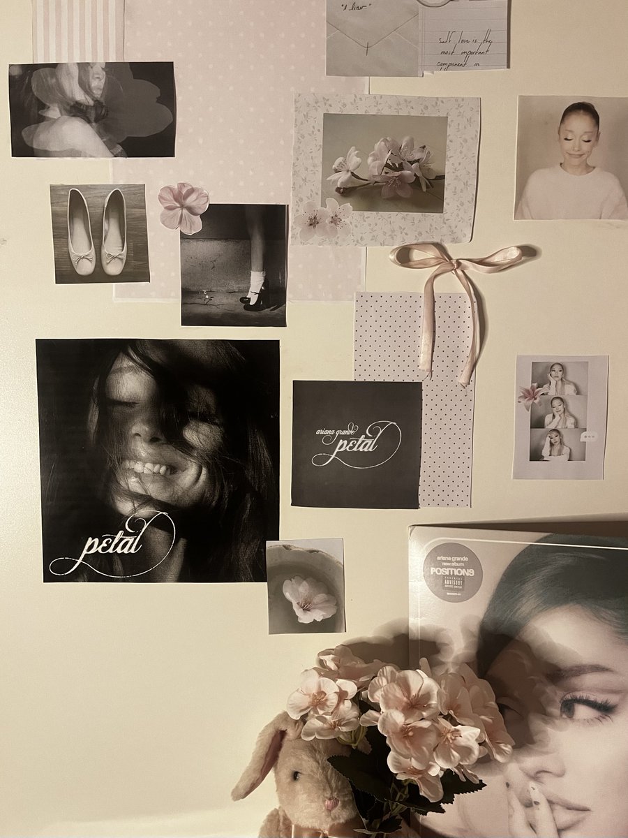 decore mi pared con petal ꕤ｡˚⋆