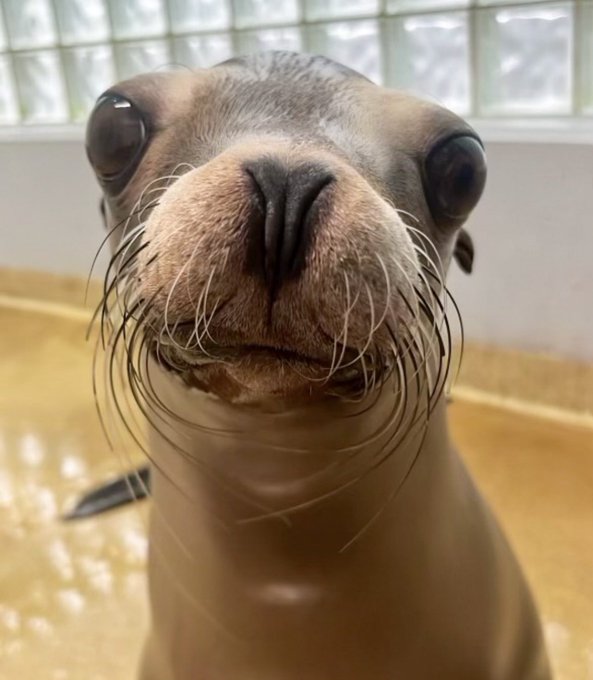 darkseavoyage's tweet photo. Can I have a sip of your drink I'm thirsty https://t.co/5y8ksJwMTE