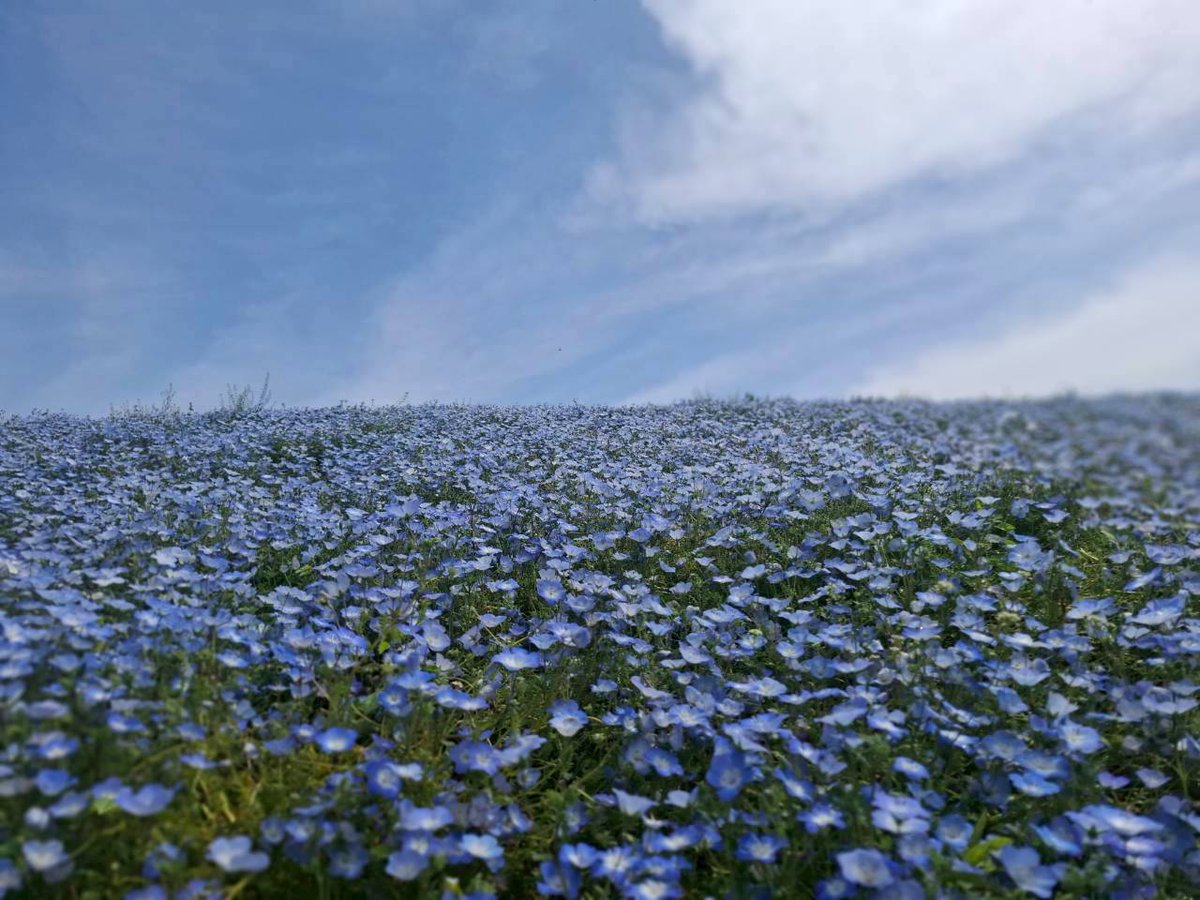 埼玉県住み母ちゃん✩.*˚ tweet media