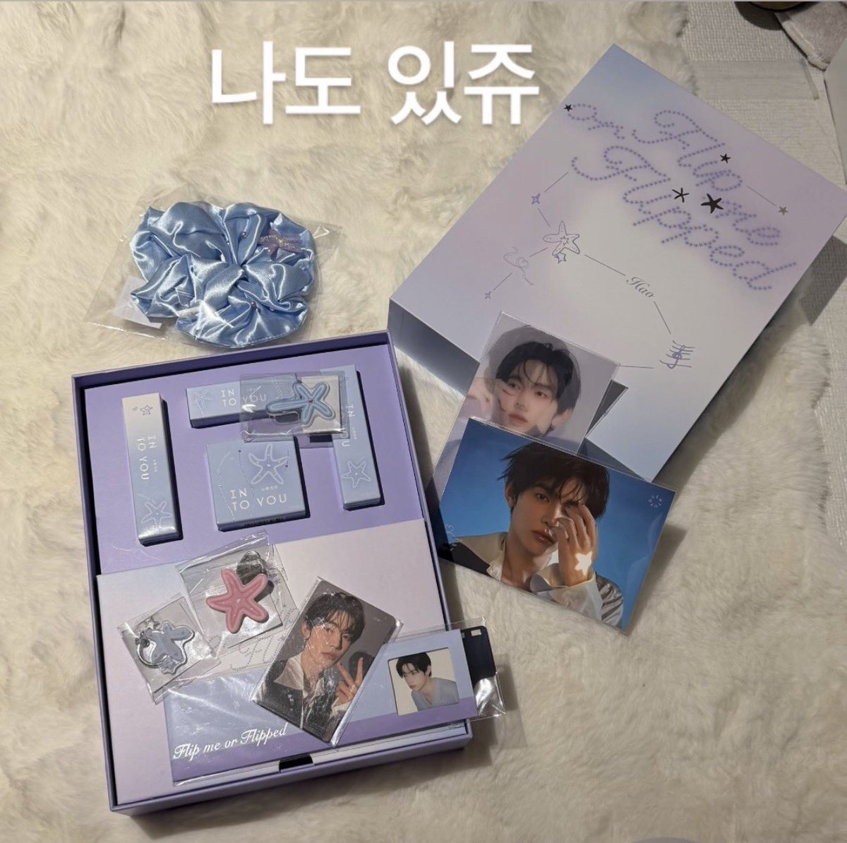 tori 🐬 tweet media