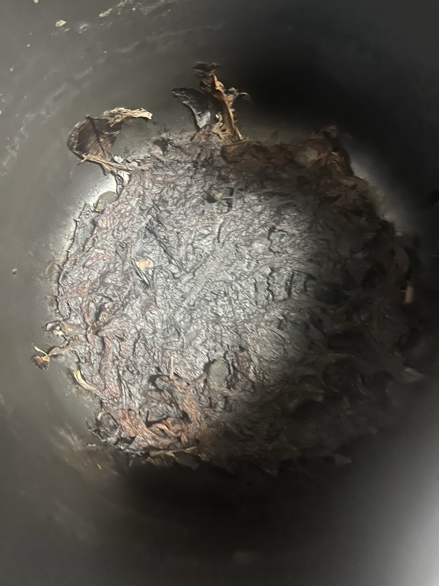 degasyo's tweet photo. 寸胴鍋で野菜スープを作ったんだが、とろ火で点火してるのを消し忘れ20時間…
大量に入ってた野菜が消えた
ほんとに火事にならなくてよかった
気をつけよう
と言うか部屋の中でめっちゃコンソメの匂いしてた時点で気付くべきだった https://t.co/gnwNsxQpxR