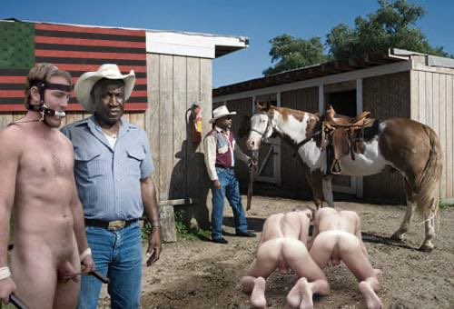 Dr. Doggy-Styles 🇺🇸 tweet media