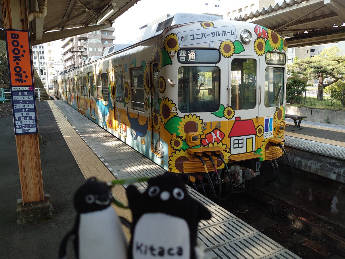 タウシュベツペンギン tweet media