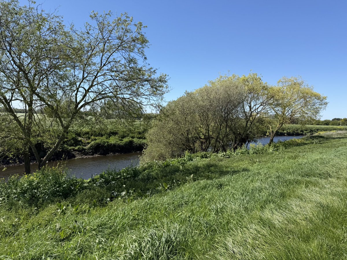 Chappers2013's tweet image. Up to #Yorkshire to see one of my besties and their lovely dog Enzo ❤️🐾🐾

Lovely day for a walk 😎 #selby