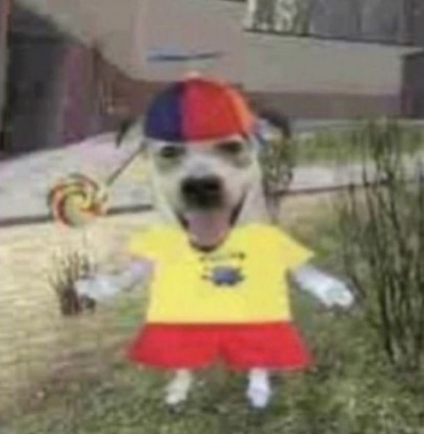 Polly🪽MIXTAPE2ISCOMING tweet media