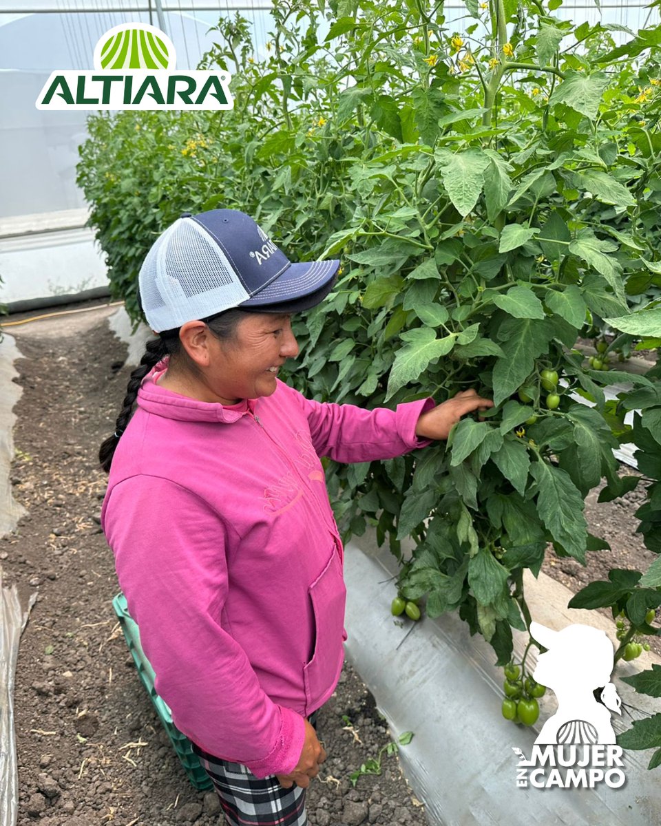ALTIARA tweet media