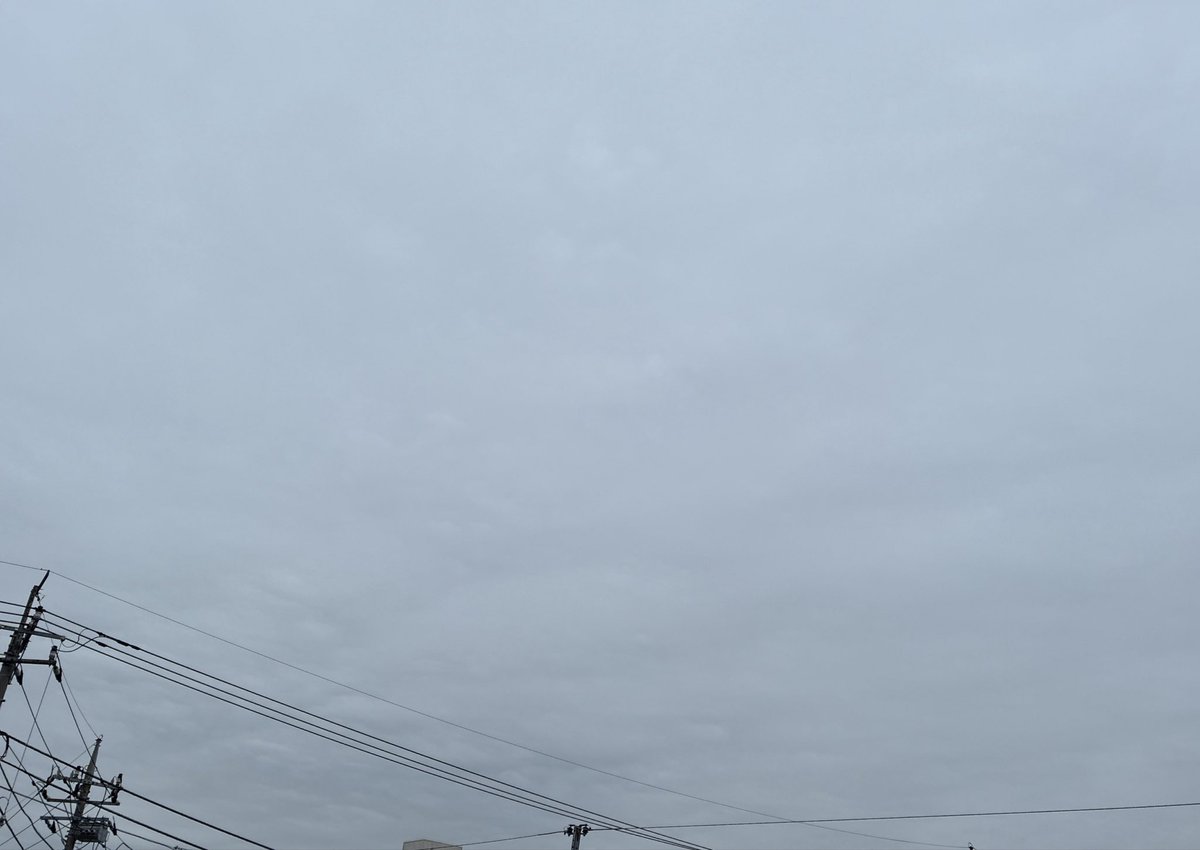 雪乃🌙.* tweet media