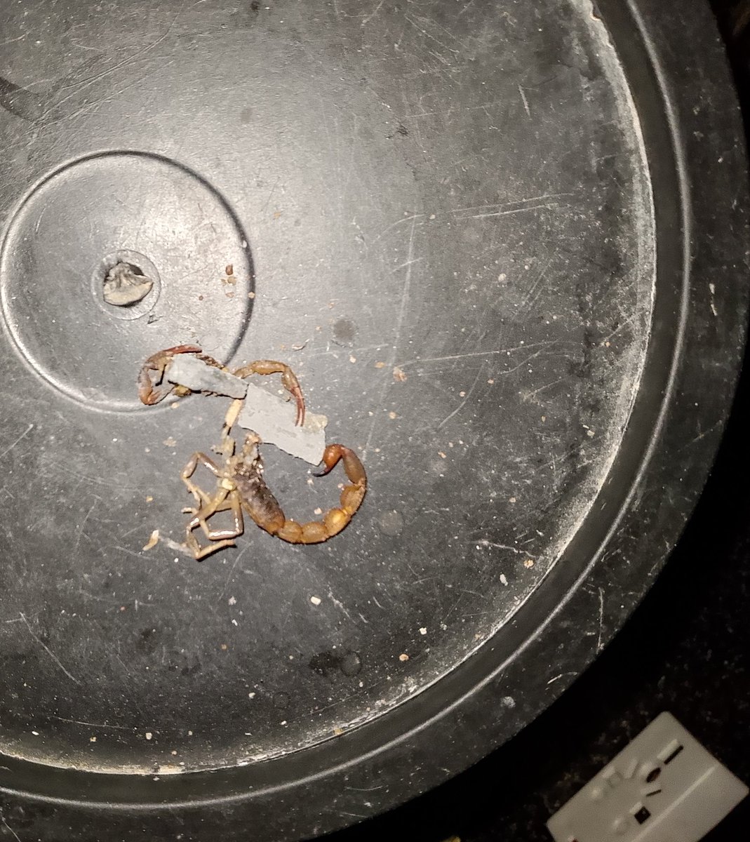 ADERONKE 🌺🌺🌺 tweet media