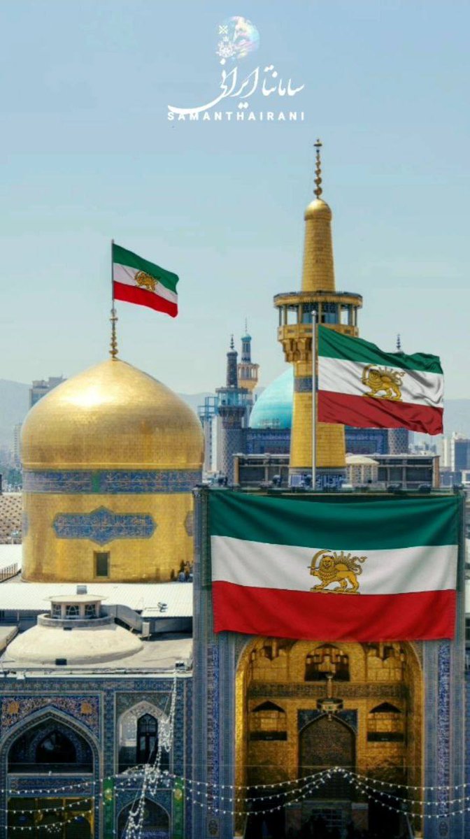 شیر پارسی 🎗️🏴 tweet media