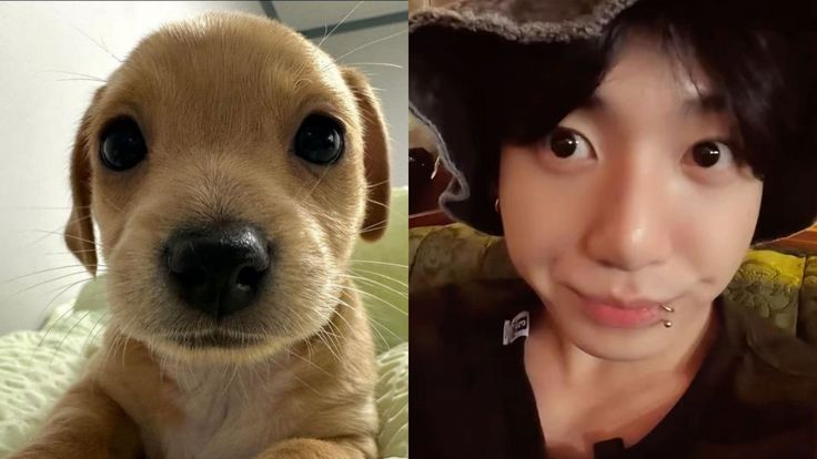 Kookmin mis papás ♱⁷ tweet media