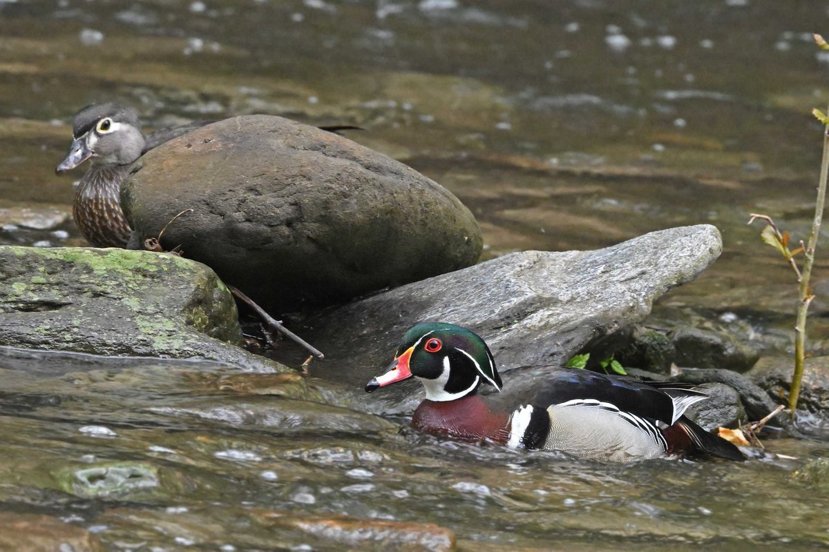 Stu Weiss tweet media