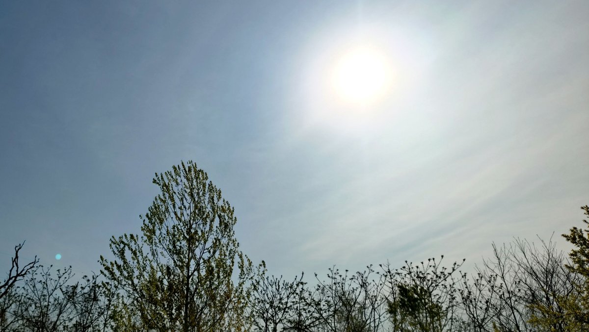 ふんた🎿 tweet media