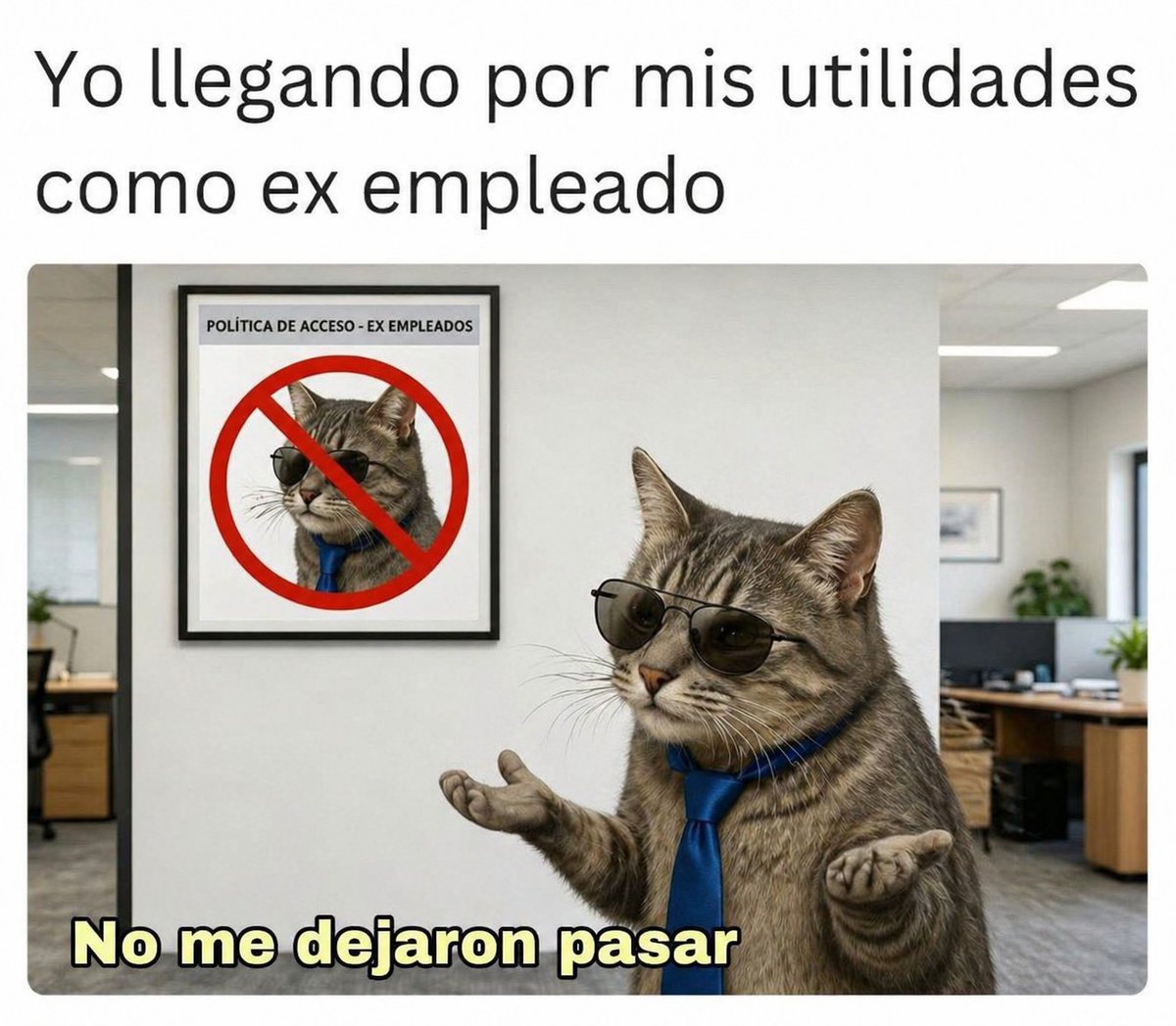 AndAtzx's tweet image. chale...
#EEUU #streamers #Mexico #Jalisco #NuevoLeon