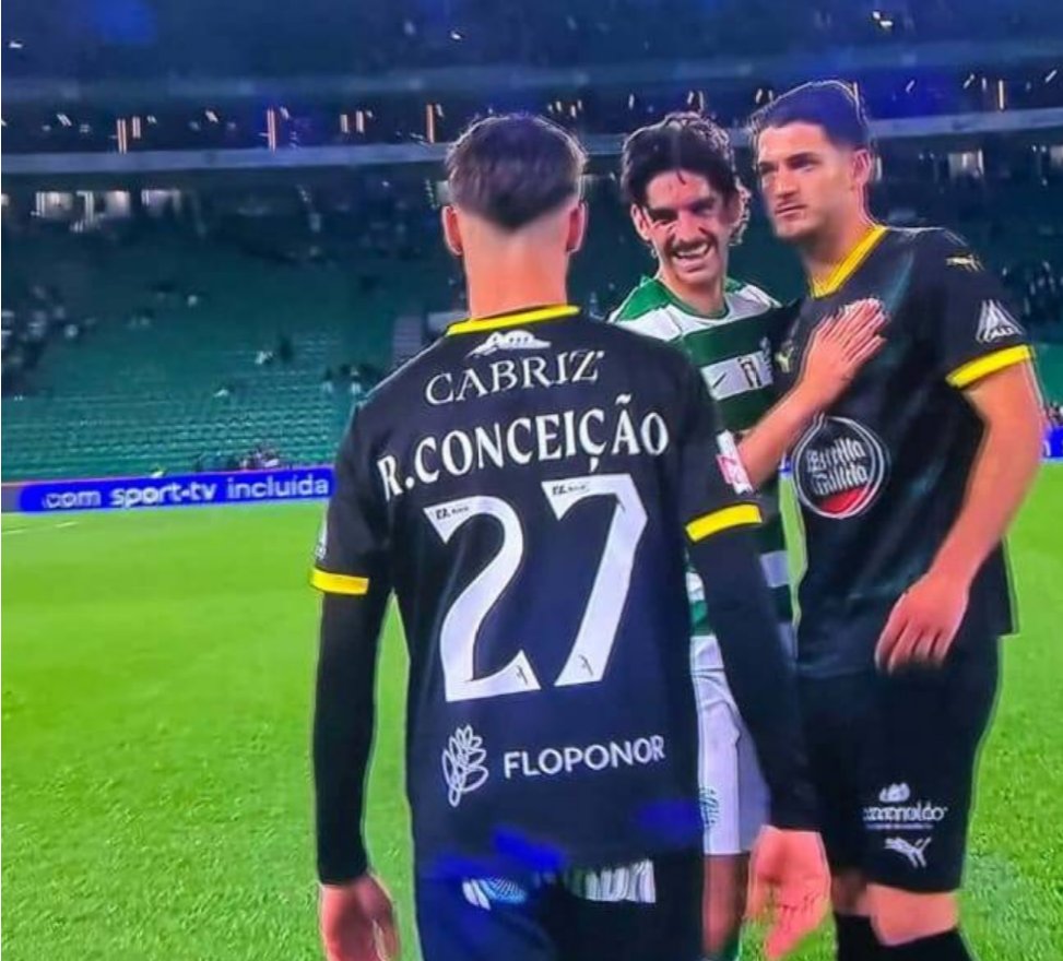 Raça de Leão 🏆🏆 tweet media