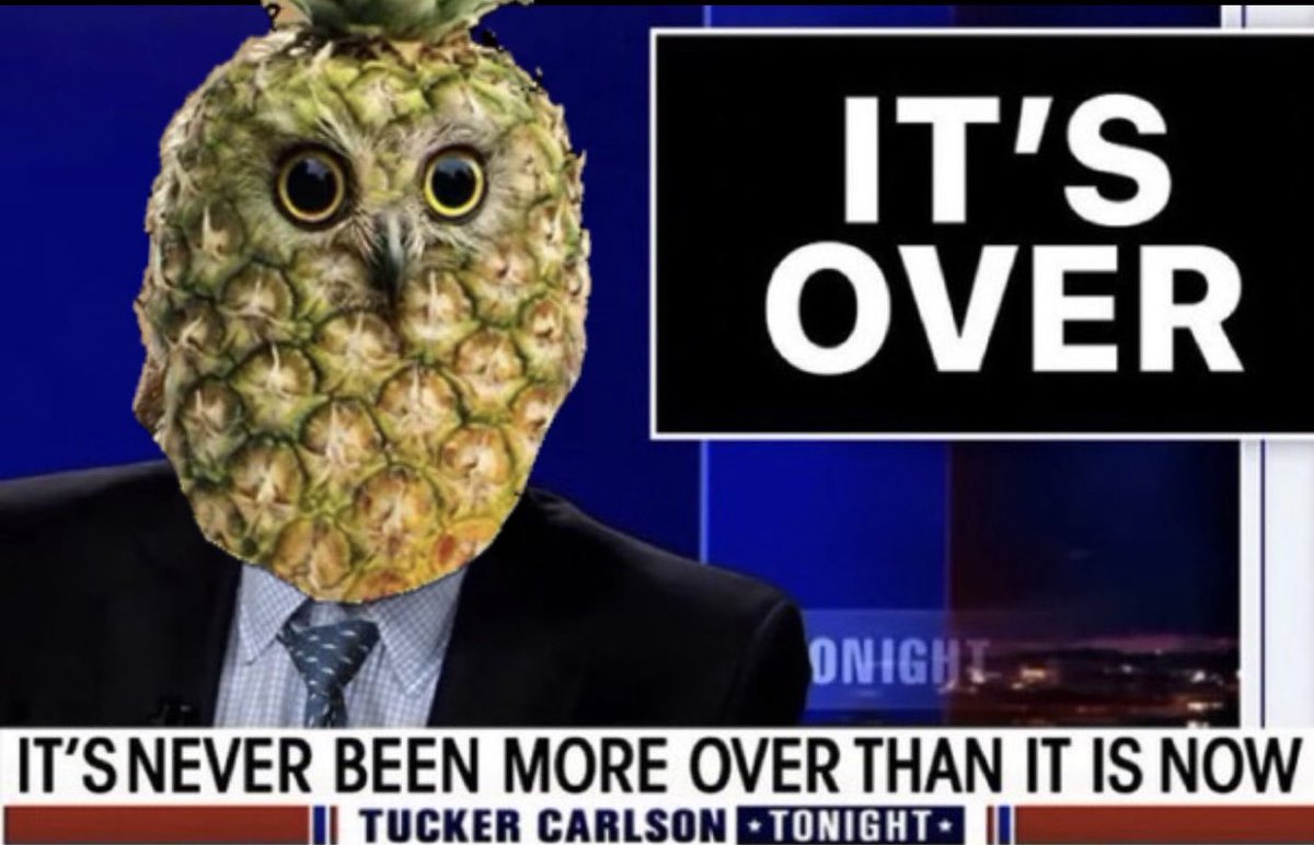 PINEOWL 🍍🦉 tweet media