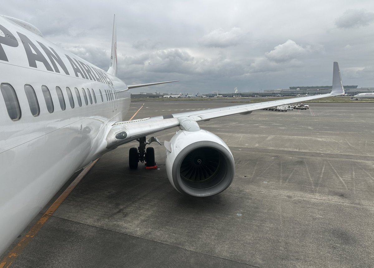 tohme76's tweet photo. Now boarding!!✈️
FLT No : JL221
DEP : HND
ARR : KIX
A/C Reg : JA306J
A/C Type : B737-800

2026年FLT回数カウント : 5

#たっつーFLT_LOG https://t.co/LPnoMrUoqu
