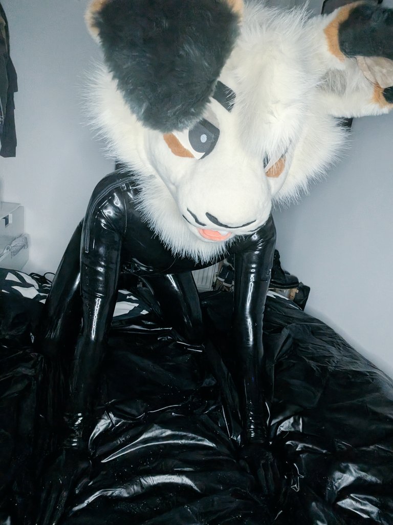 ryderisabunny's tweet photo. does your tl need shining up?? let me help 🌟 https://t.co/yLI67ZPyG6