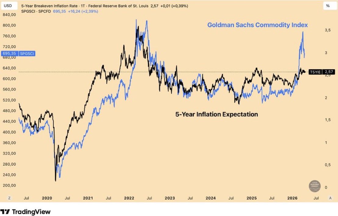 THE SHORT BEAR tweet media