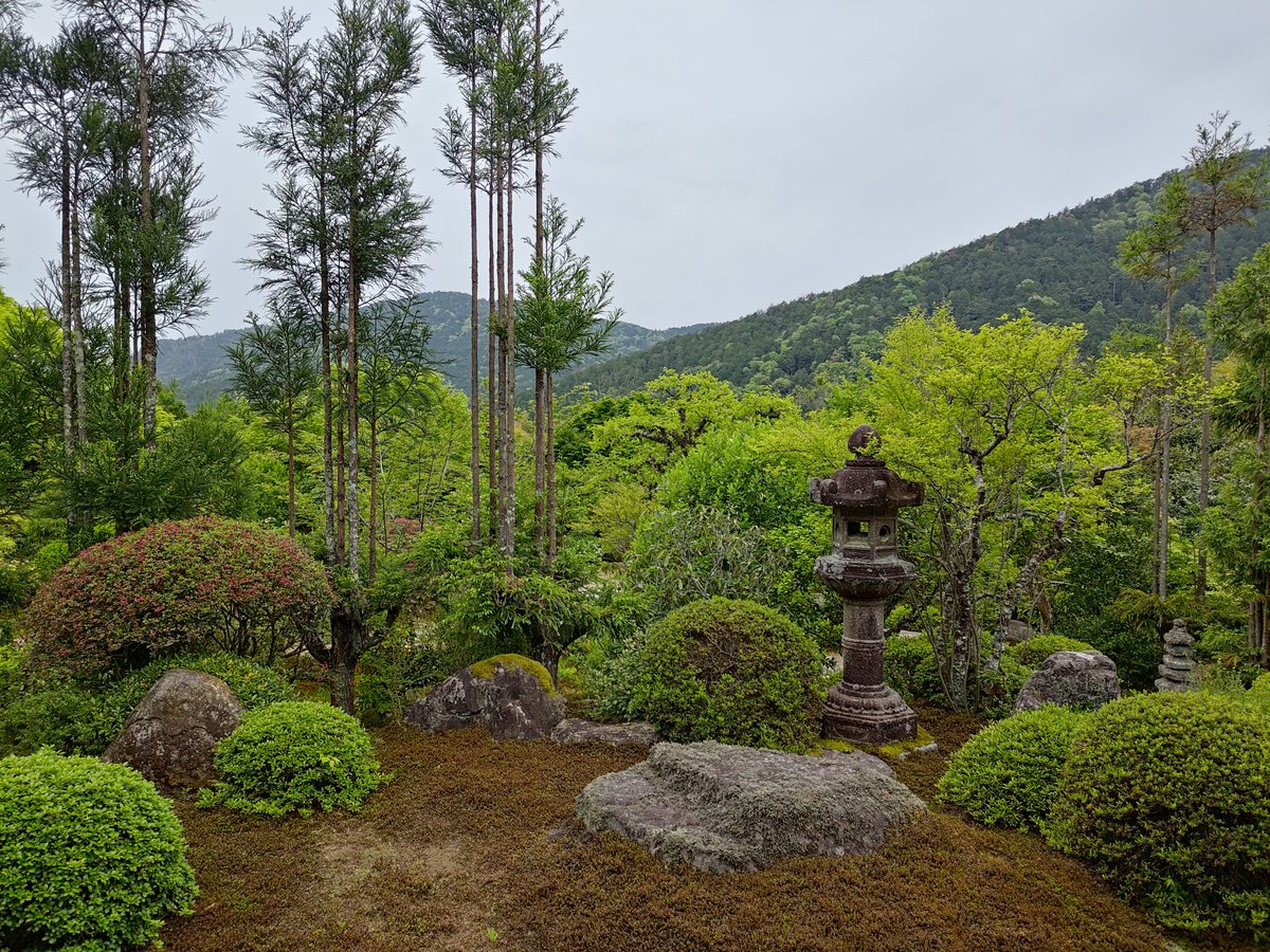 おはようございます。
今日も佳い日でありますよう🙏