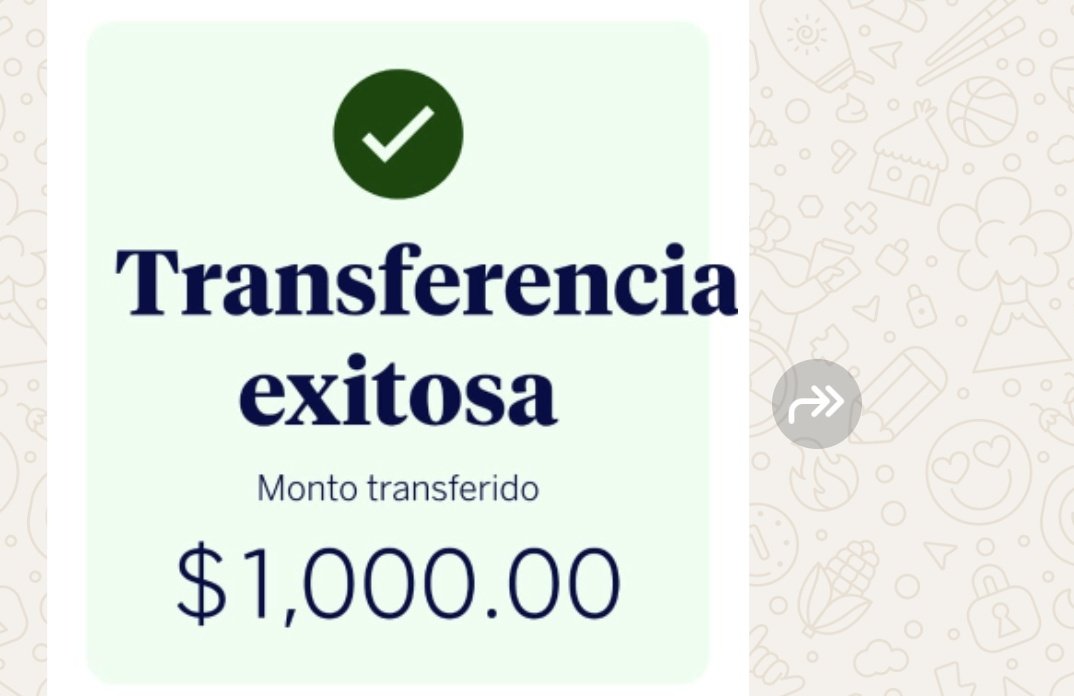 yeya pizarnik tweet media