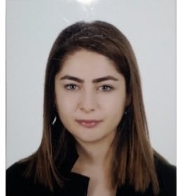 Av.Prof.Dr.Adem Sözüer https://ademsozuer.com/ tweet media