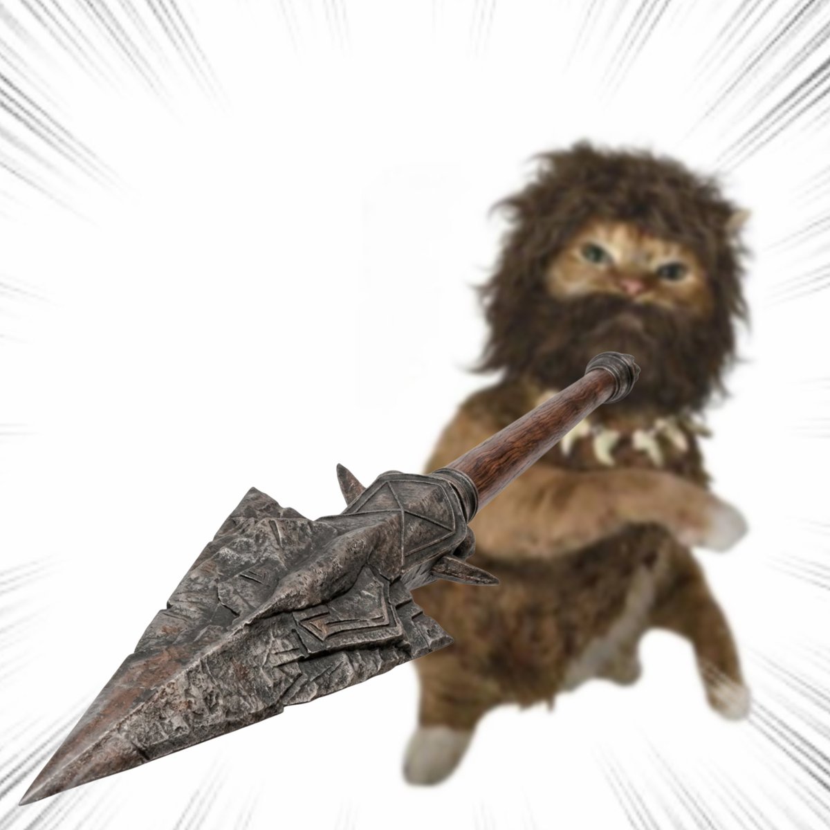 Throwing Things Daily tweet media