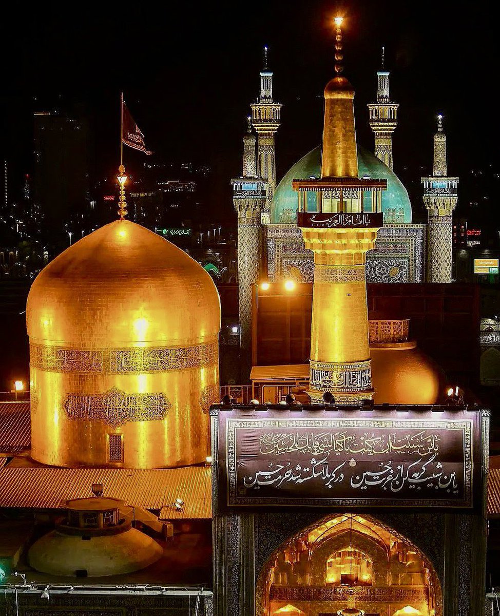 Syeda Fatima! tweet media