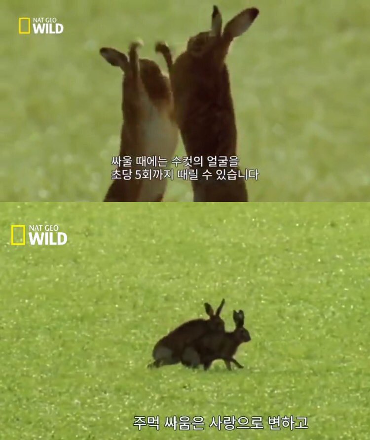 안도이 (💾개발팀 D.D) tweet media