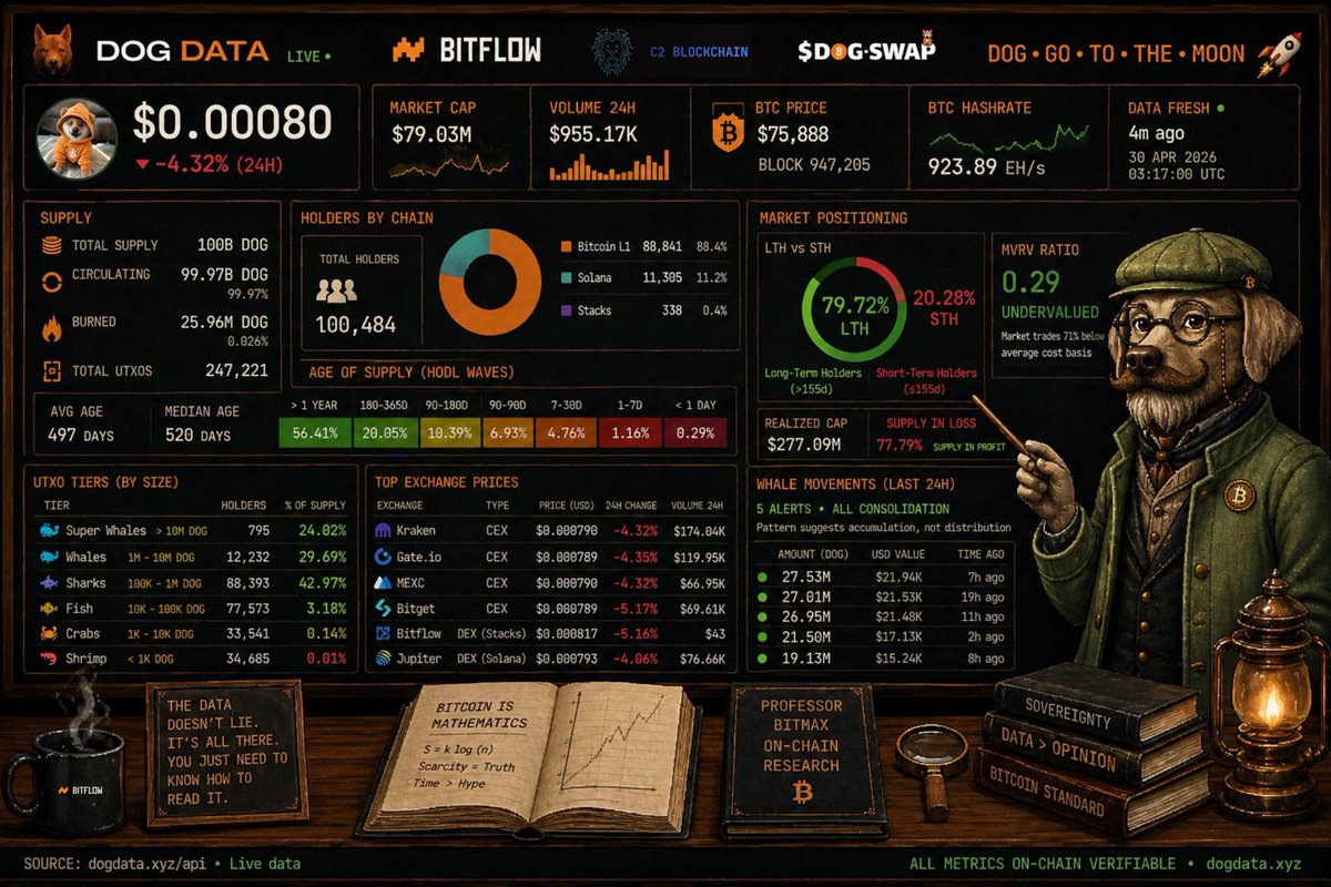 bitmax $DOG | Bitflow 🌊🏄♂️ tweet media