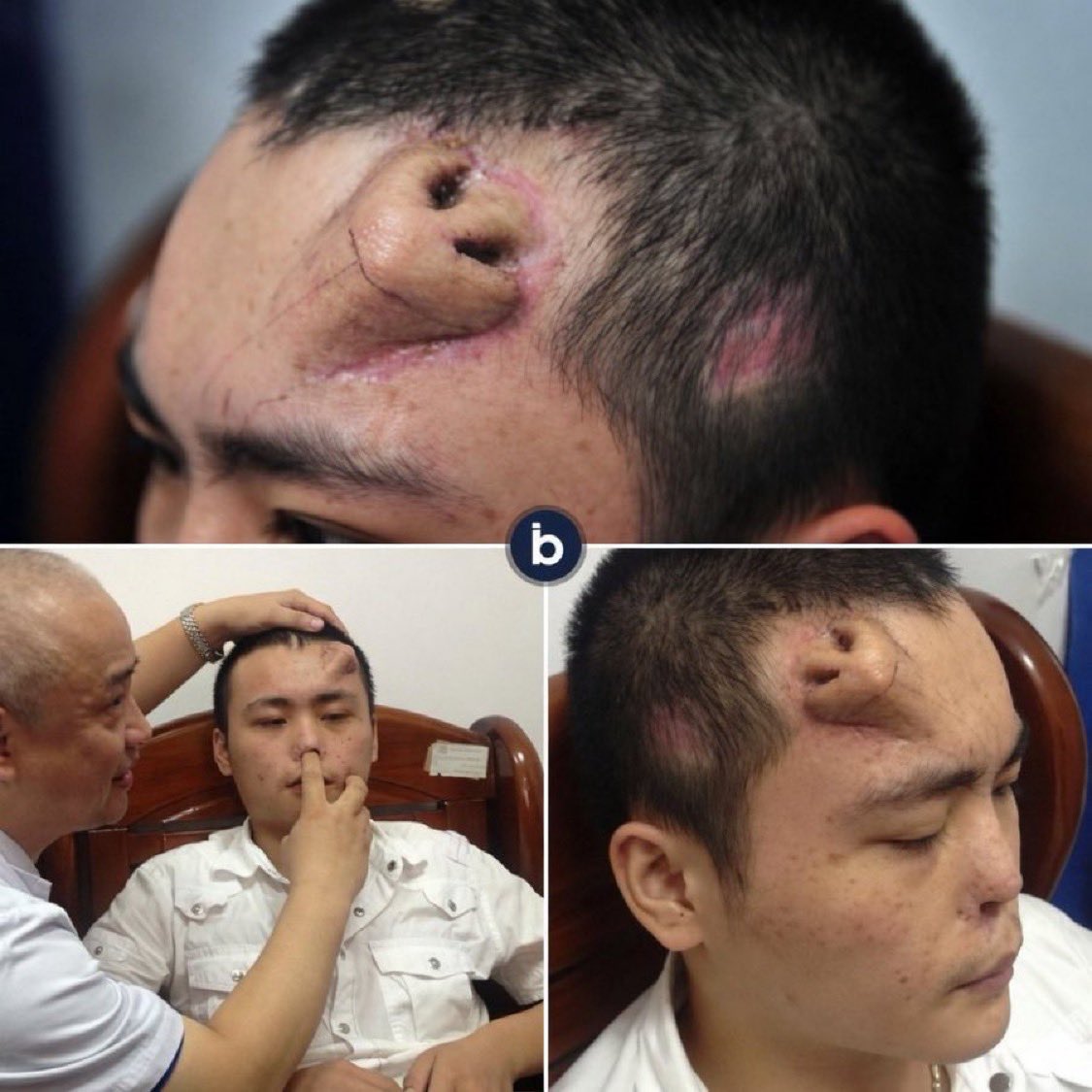 世界のど迫力映像@フォレスト(Forest)🕊️ tweet media