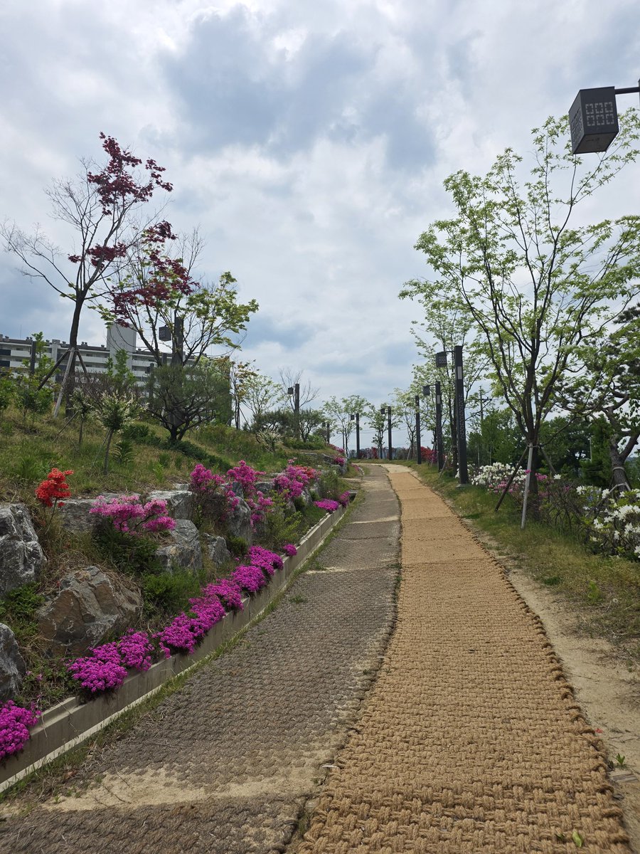 마감에 치이는 디버스 대도서관 tweet media