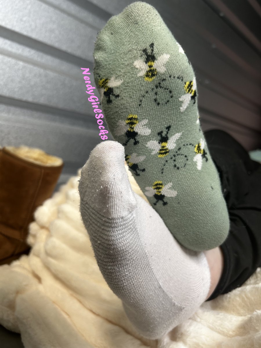 NerdyGirlSocks's tweet image. Some solo shots from the same day I did the collab with @PtqueenIg. Just look at those cute mismatched socks, one hers, one mine.
Should I post more of my solo pics from this set? Lmk! 🥰

#socks #feet #mismatched #fypシ゚ #girlsinsocks #explore #selling #rt #feetnetwork