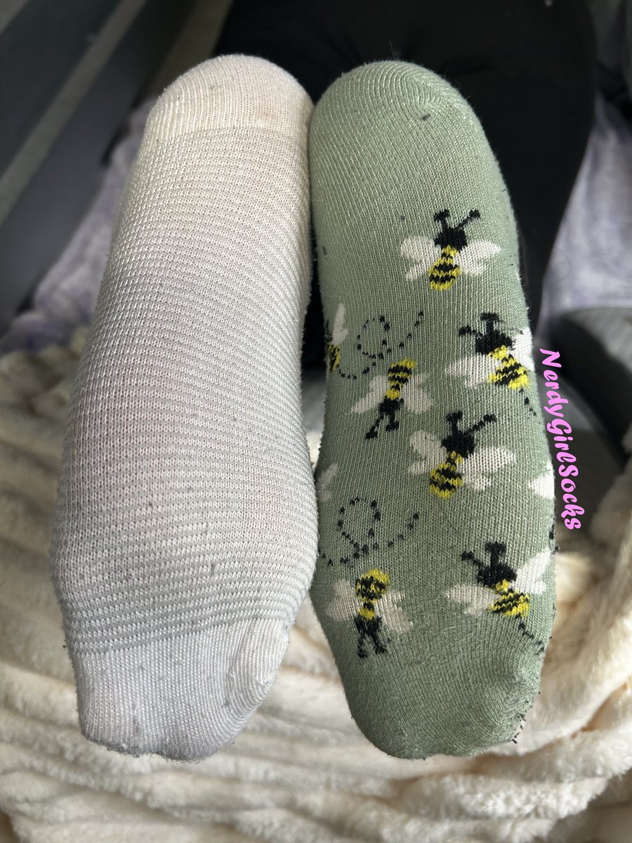 NerdyGirlSocks's tweet image. Some solo shots from the same day I did the collab with @PtqueenIg. Just look at those cute mismatched socks, one hers, one mine.
Should I post more of my solo pics from this set? Lmk! 🥰

#socks #feet #mismatched #fypシ゚ #girlsinsocks #explore #selling #rt #feetnetwork