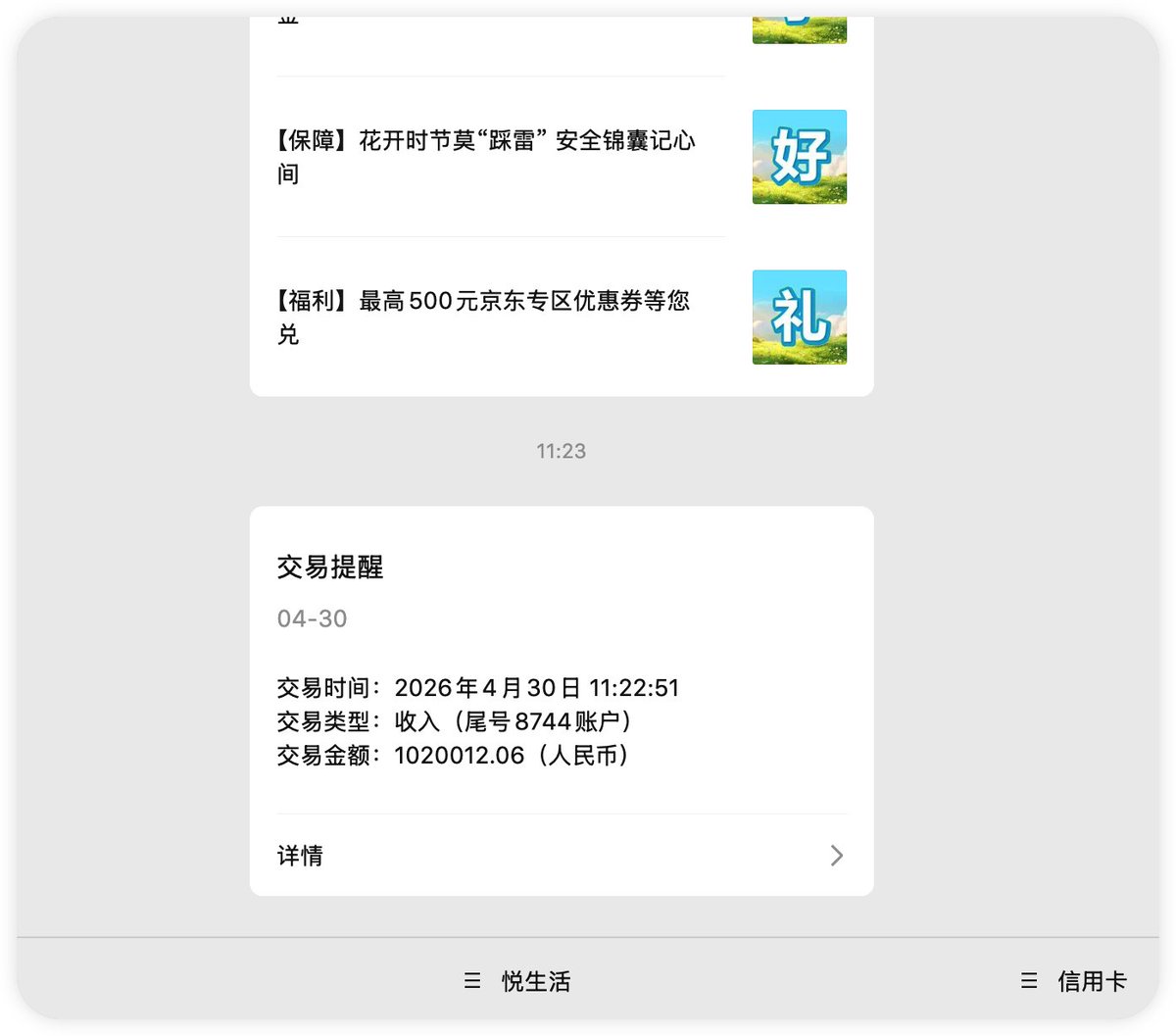 鱼仔 tweet media