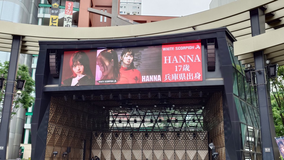 きゃすばる tweet media