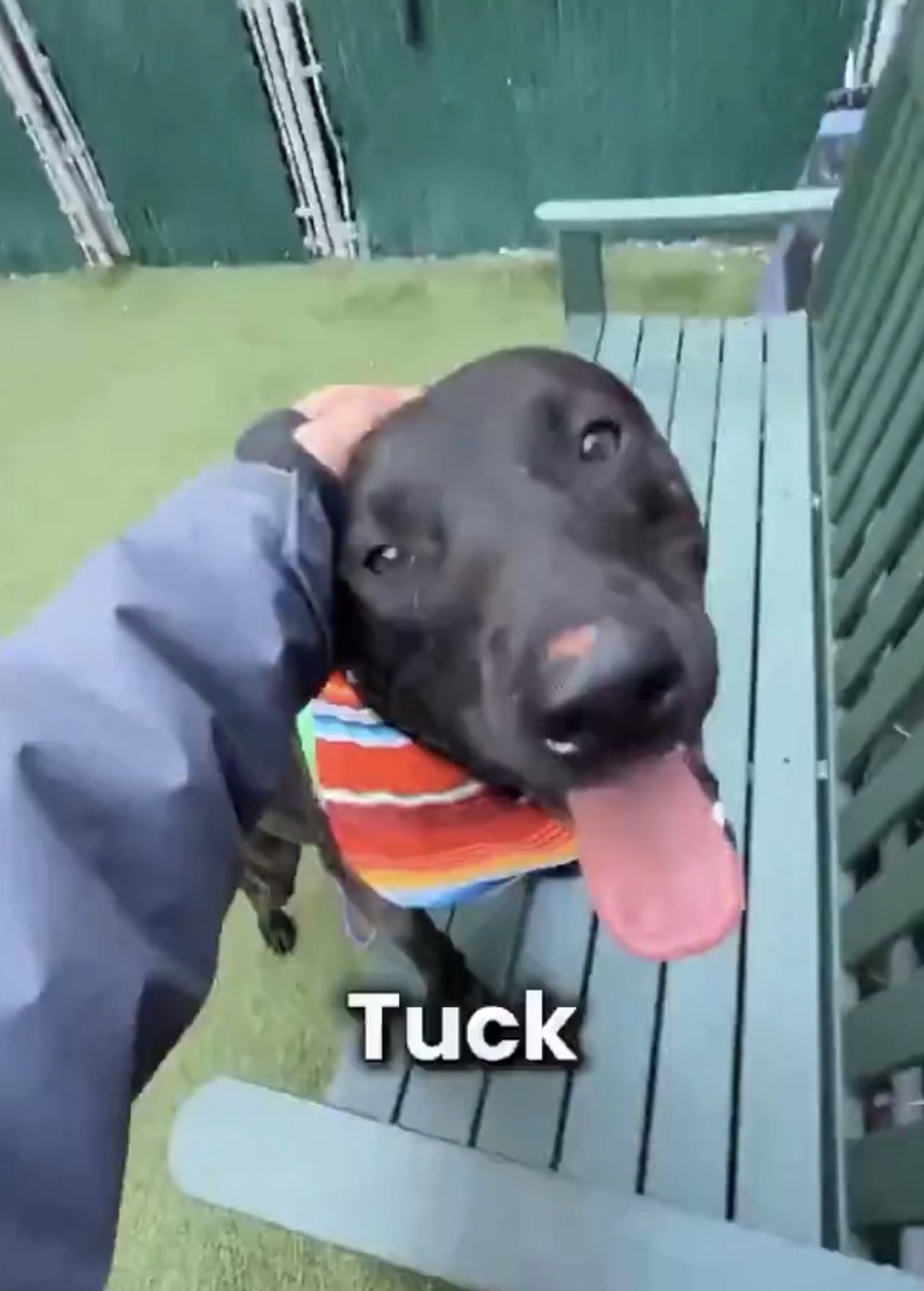 Fionaismybitch tweet media