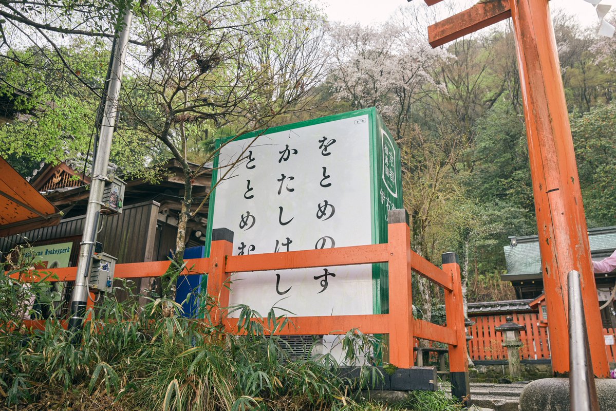 伊右衛門 tweet media