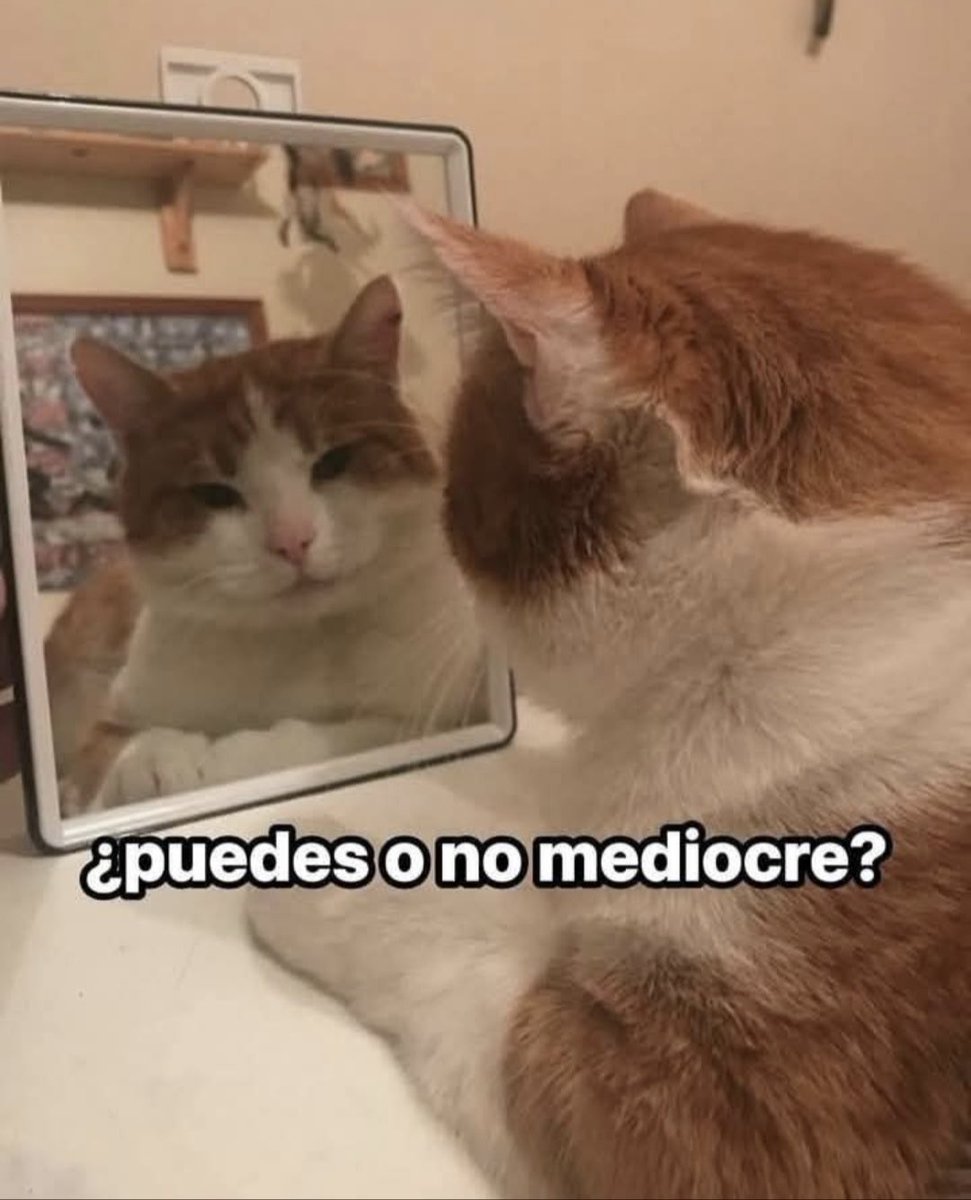 Spooki 🌸 tweet media
