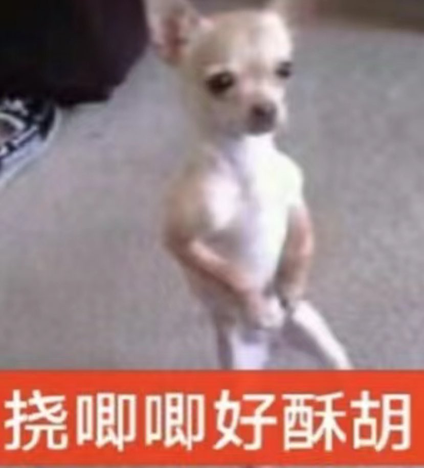 桔梗 tweet media