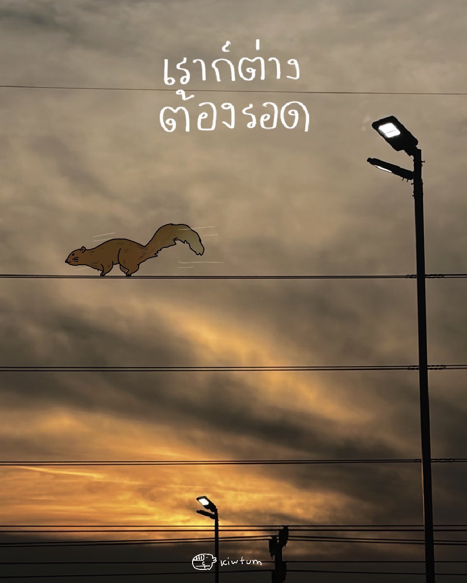 คิ้วต่ำ tweet media