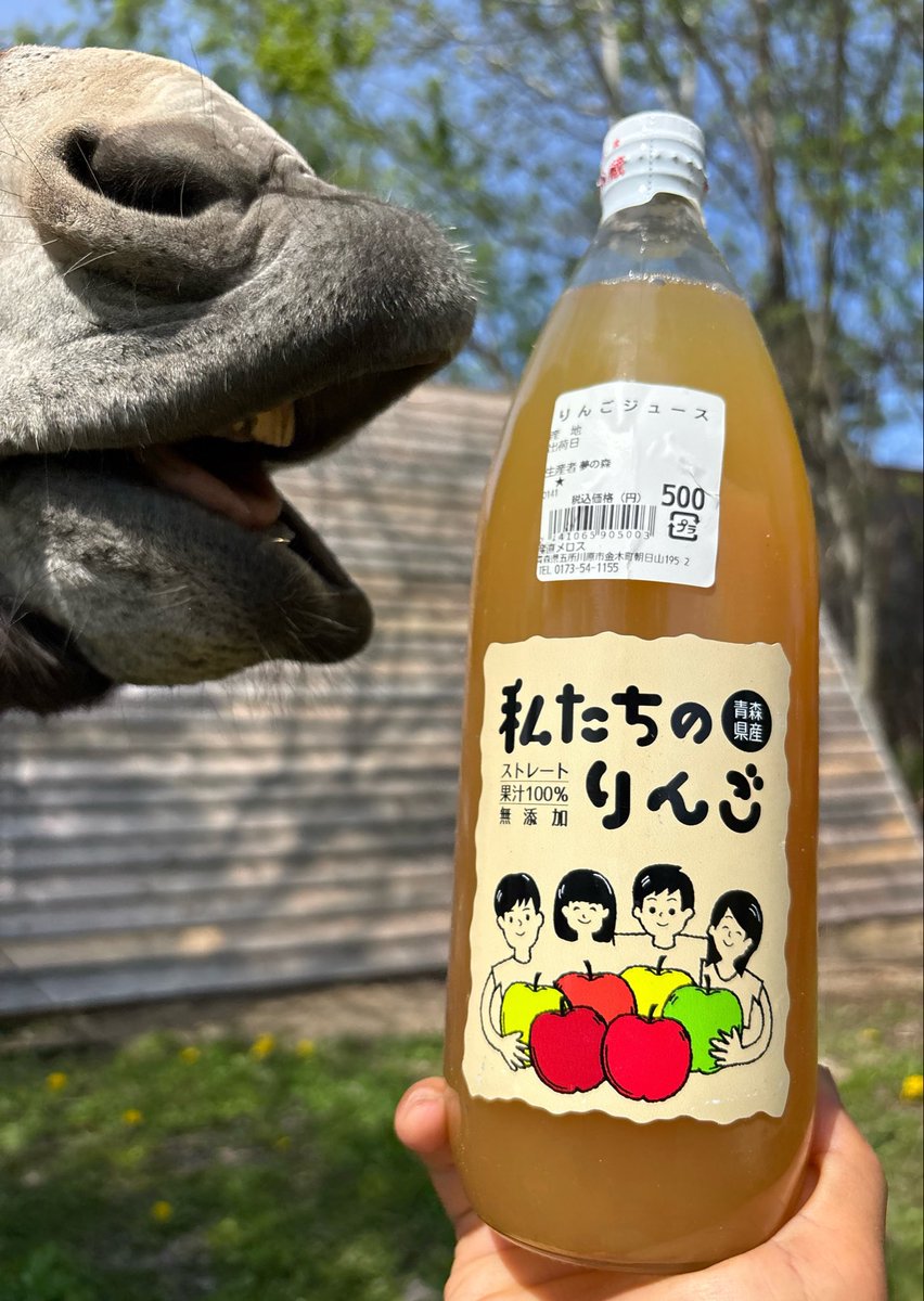 太郎丸 tweet media