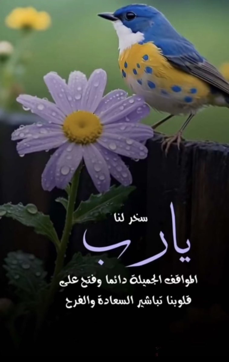 فهد السهلي tweet media