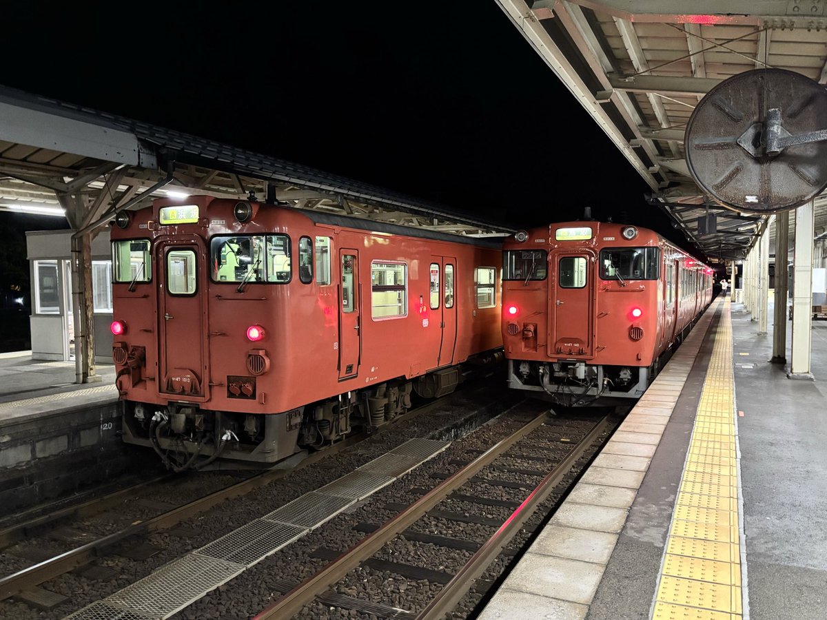 なめ小路通(なめこ) tweet media