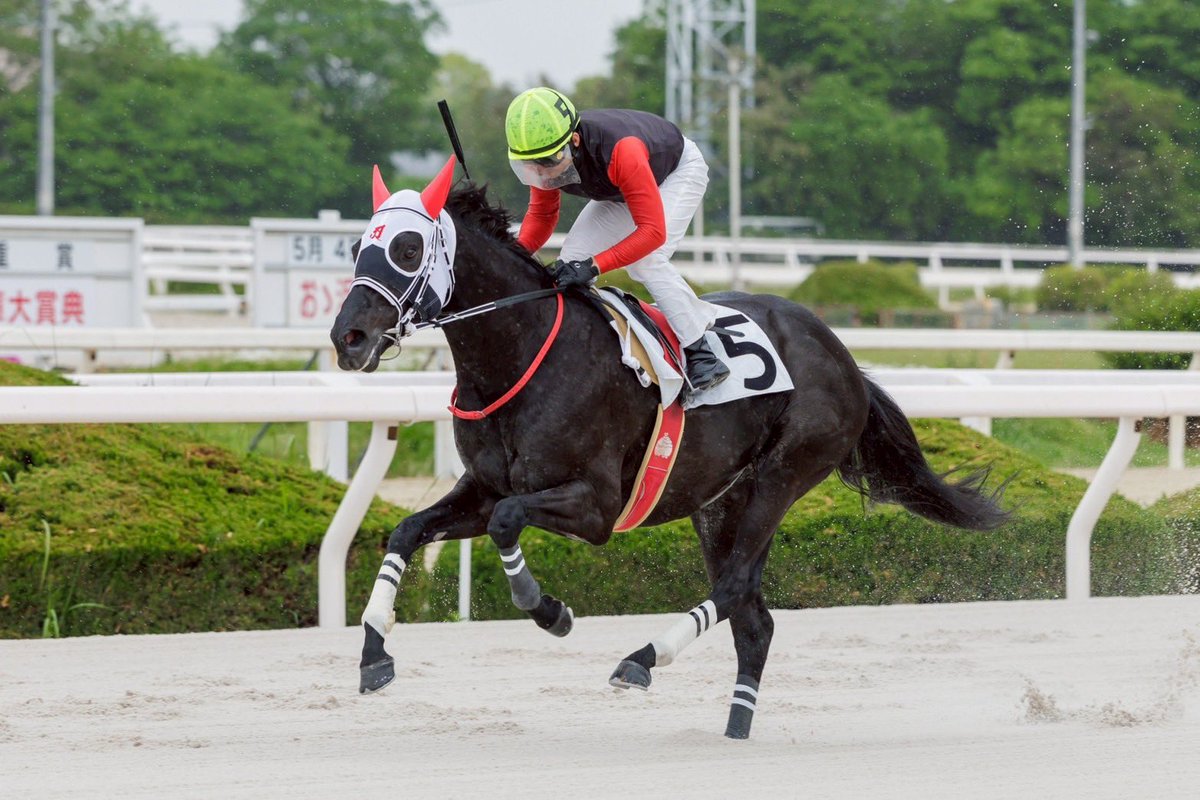 Yoshimistable's tweet photo. 園田競馬第3レース シュトローム 1着
スタートから好位追走、第3コーナー
から進出し直線に向くとそのまま
抜け出してくれました！
休養明け1戦目でしたが心配なく
自信を持って挑めたレースでした。
これで吉見厩舎通算100勝目
となりました！
開業から馬を預けて頂いたオーナー
開業から厩舎を支えてくれている
スタッフに感謝しかありません。
これからも精進していきたいと思います。
応援ありがとうございました。
#吉見厩舎 #園田競馬 #地方競馬