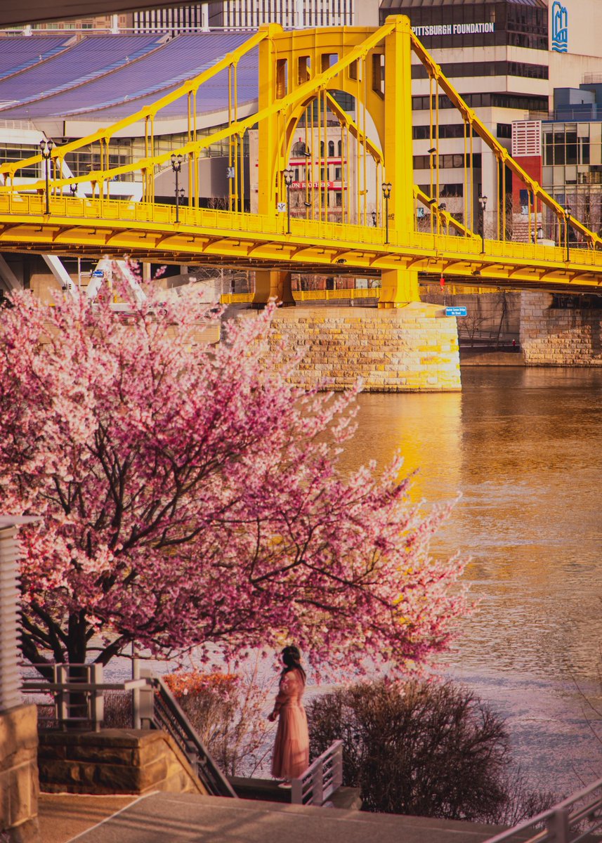 DJ Slagle tweet media