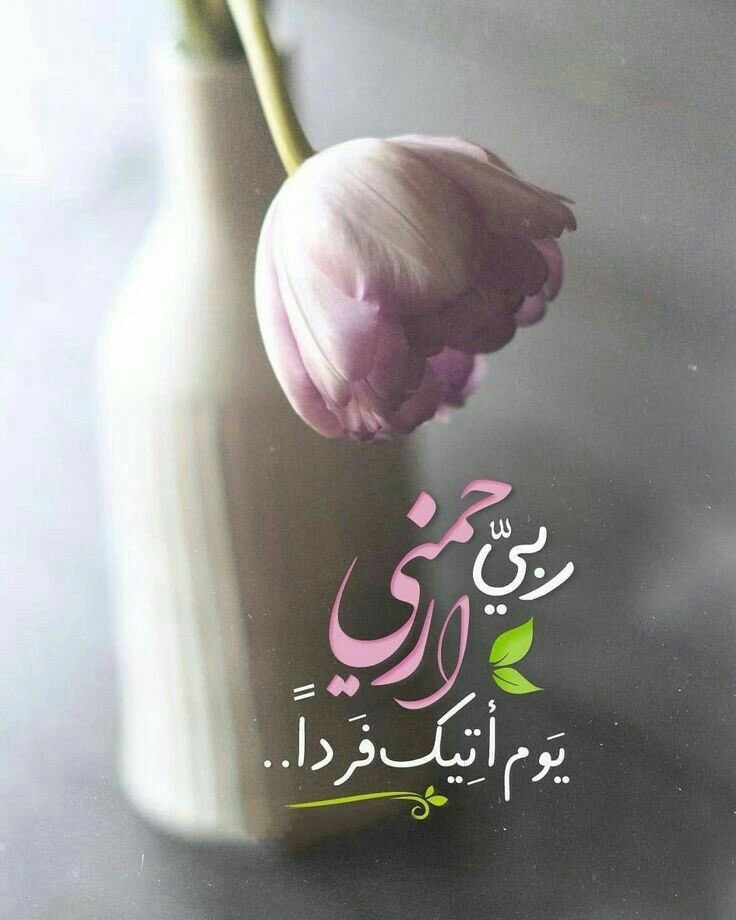فهد السهلي tweet media