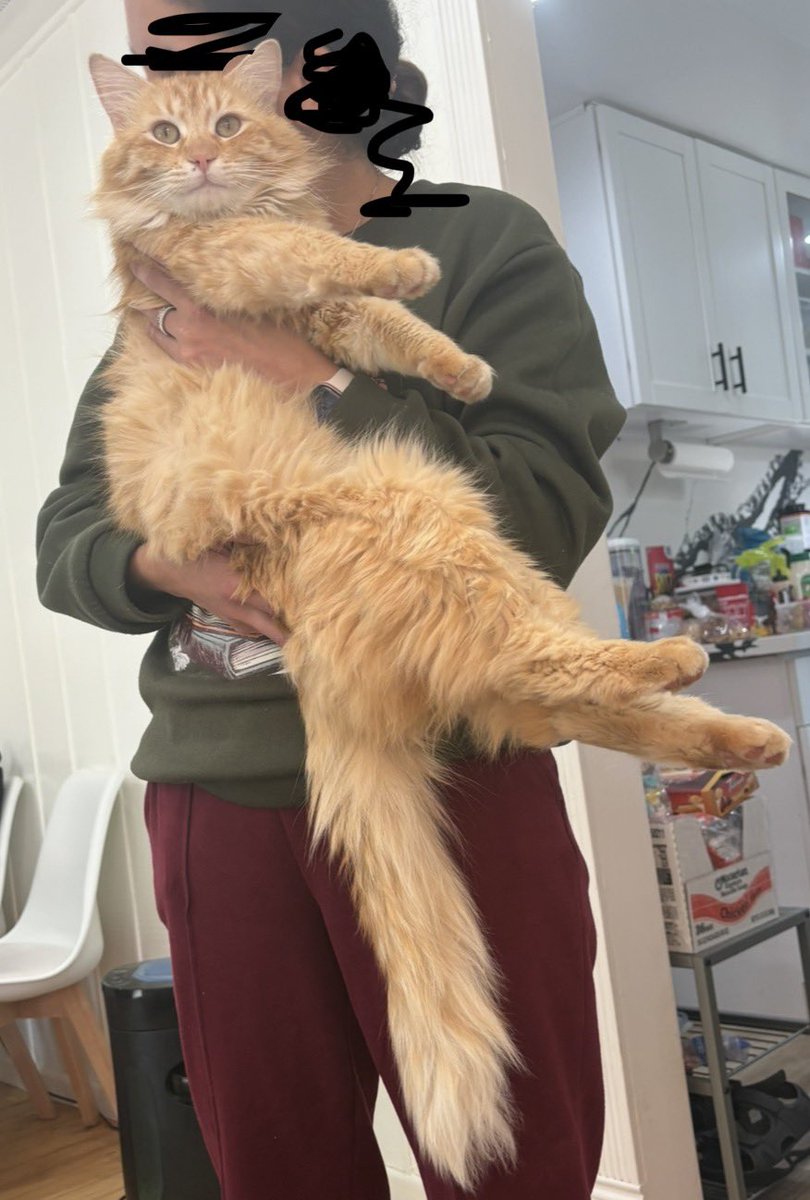 𝖲𝖼𝗋𝖺𝗉𝗌 🍉 tweet media